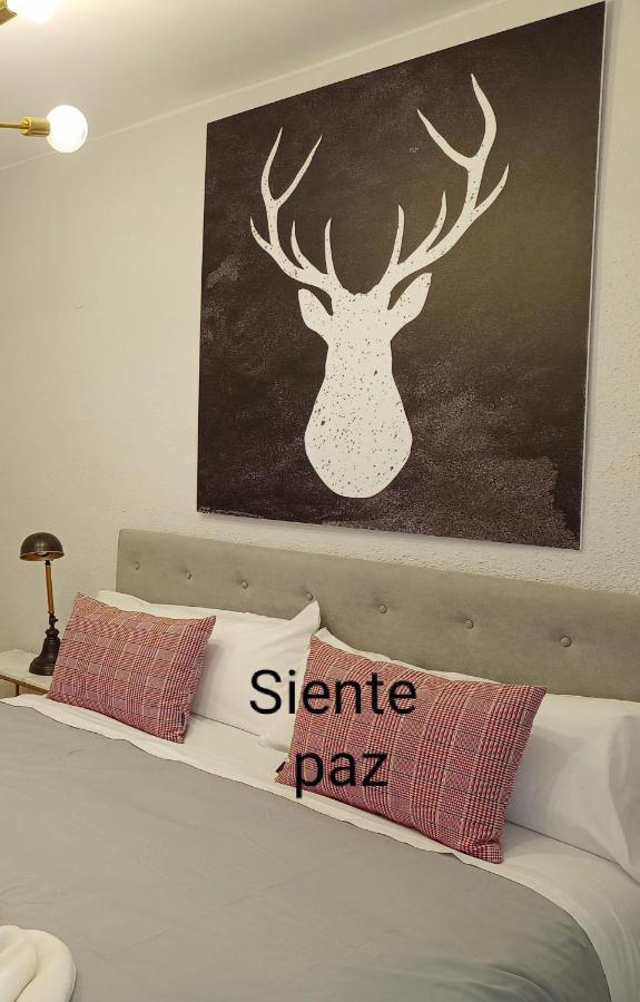 Apartamento Origen Pelaire Excelente Limpieza Y Ubicacion Biescas  Exterior foto